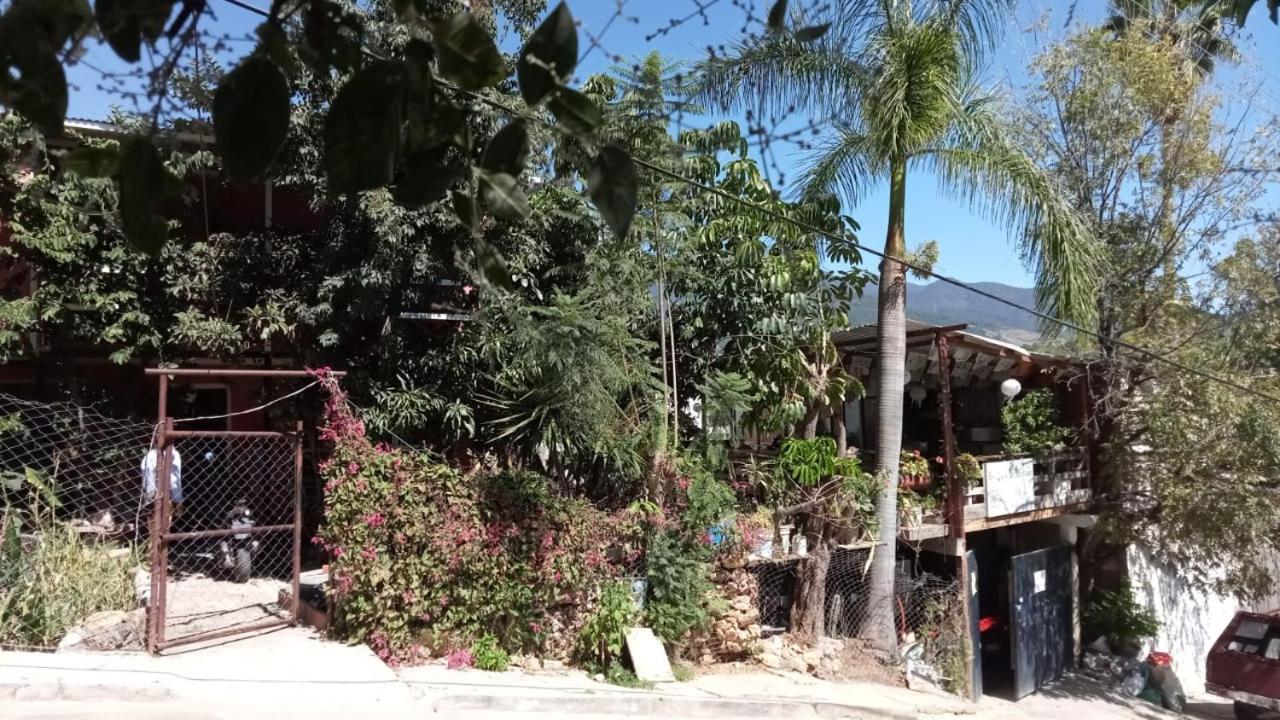 Hotel La Casa Del Nenufar Oaxaca Exterior foto